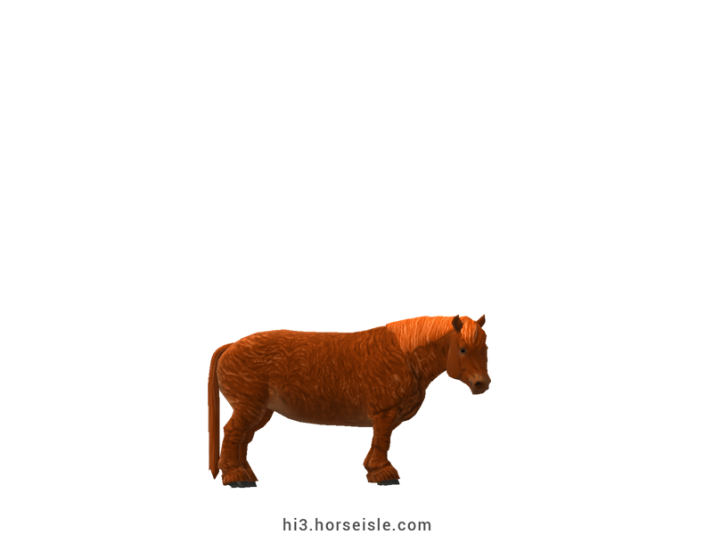 Cow-pony Highland Red Chestnut Coat